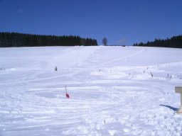 Rodeltag 2006